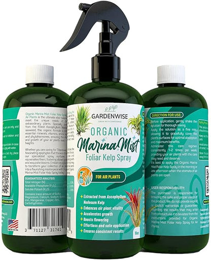 Organic Marina Mist Kelp Air Plants Fertilizer Spray | Plant Food for Tillandsia Air Plants | Air Plant Mister - Enhances Bloom, Vitality, and Pup Growth (16 OZ)