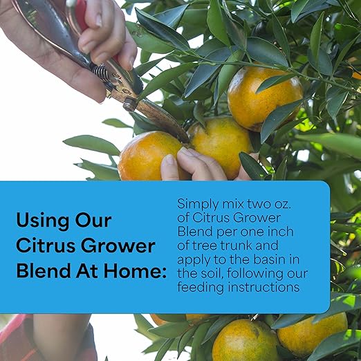 Grow More Citrus Grower Blend (1.7-0-0) - 20oz of Organic Citrus Fertilizer for Potted Trees with Chelated Micronutrient - Improves Taste, Color, & Firmness