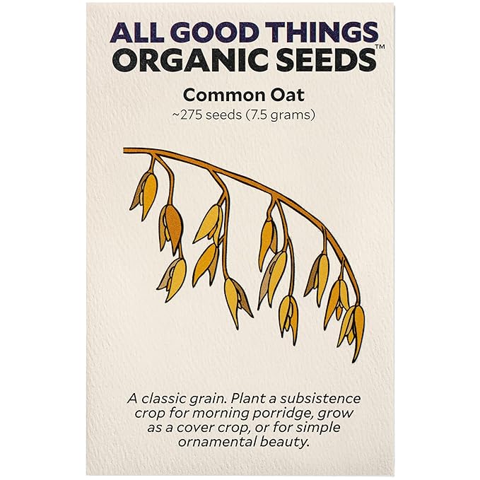 All Good Things Organic Common Oat Seeds for Planting: Cover Crop, Whole Hull Grains - 275 Seed Packet