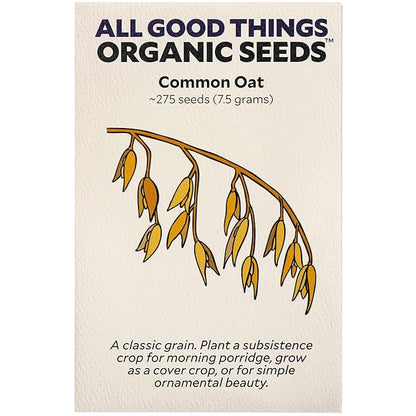 All Good Things Organic Common Oat Seeds for Planting: Cover Crop, Whole Hull Grains - 275 Seed Packet