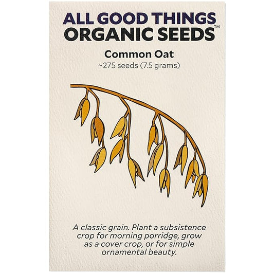 All Good Things Organic Common Oat Seeds for Planting: Cover Crop, Whole Hull Grains - 275 Seed Packet