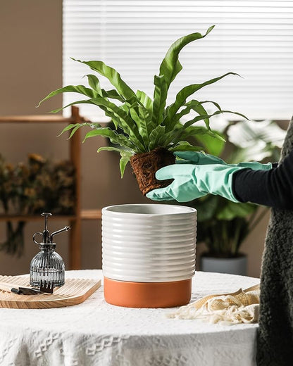 Self Watering Plant Pot : 8 Inch Ceramic Planter with Drainage Hole & Water Storage Plus - Flowerpot for Indoor & Outdoor Plants (Cream White & Red-Brown)