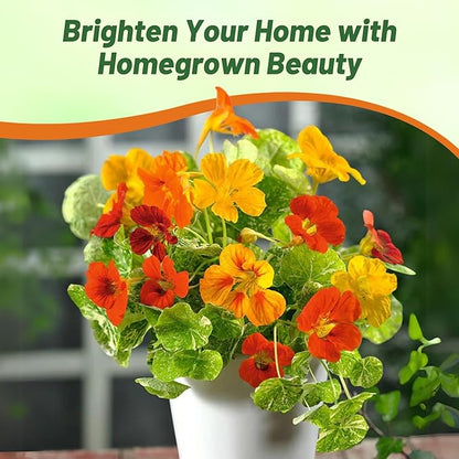 Outsidepride Jewel Mix Nasturtium Seeds - 1 lb. Annual, Easy to Grow & Versatile, Flower Seeds for Planting Vibrant Blooms, Ideal for Gardens, Borders, and Pollinator Gardens