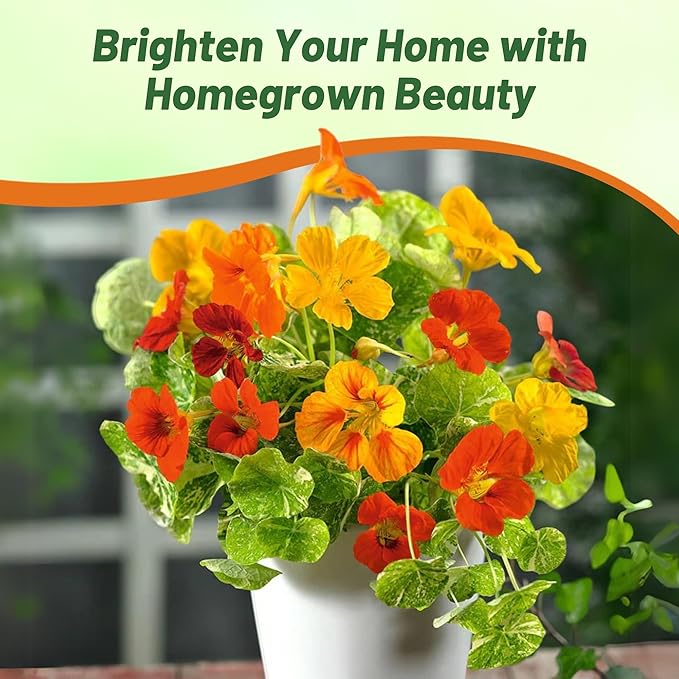 Outsidepride Jewel Mix Nasturtium Seeds - 5 lbs. Annual, Easy to Grow & Versatile, Flower Seeds for Planting Vibrant Blooms, Ideal for Gardens, Borders, and Pollinator Gardens