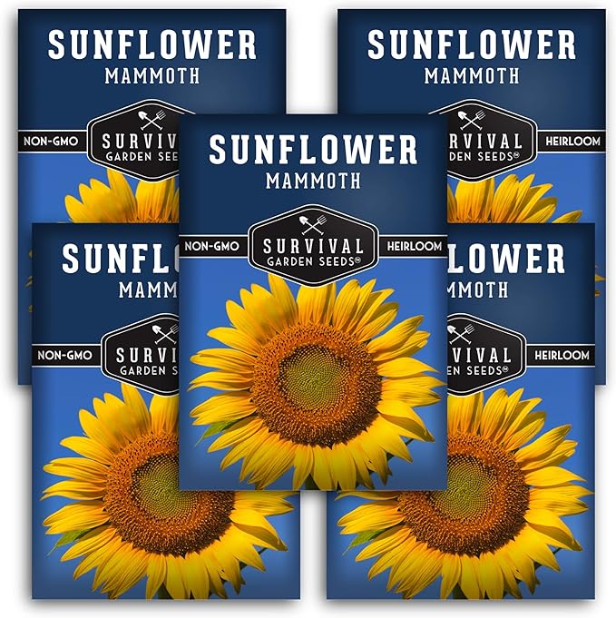 Mammoth Sunflower Seeds for Planting | Giant 12 ft Plants with Edible Seed Harvest – Heirloom Non-GMO – Survival Garden Seeds (5 Packs)