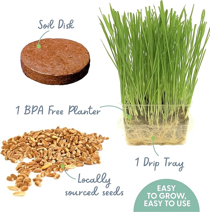 The Cat Ladies Cat Grass Growing Kit - Organic Seed, Soil and BPA Free containers (Non GMO) - All of Our Seeds are Locally Sourced - 1 Pack