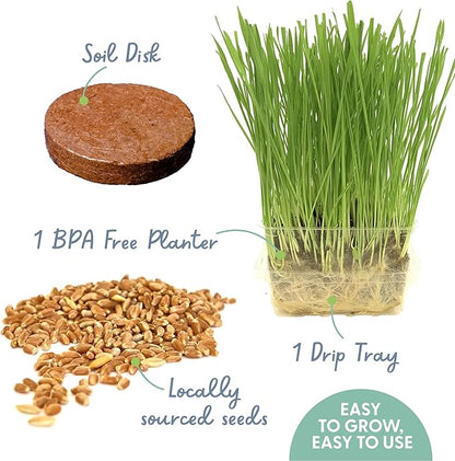 The Cat Ladies Cat Grass Growing Kit - Organic Seed, Soil and BPA Free containers (Non GMO) - All of Our Seeds are Locally Sourced - 1 Pack