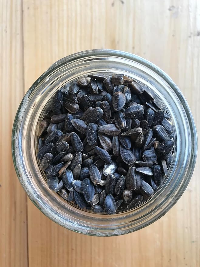 Ernst Grain & Livestock Black Oil Sunflower Seeds - Birdseed for Outside Feeders Wild Bird Food - Ideal Bird Seed for Cardinals, Woodpeckers and More - Non-GMO, 7lb