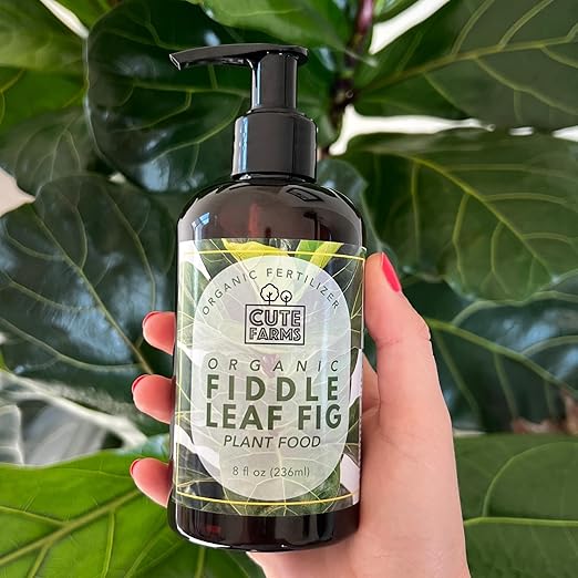 Organic Fiddle Leaf Fig Tree Fertilizer for Ficus Lyrata & Ficus Audrey – Urea-Free, Calcium-Enriched Formula with a Balanced NPK Ratio of 3-1-2 for Strong Roots & Lush Leaves (8 oz) Cute Farms