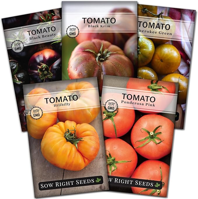 Sow Right Seeds - Rare Colorful Heirloom Tomato Seed Collection for Planting - Cherokee Green, Black Krim, Hillbilly, Black Beauty, Ponderosa Pink - Non-GMO Varieties to Plant a Home Vegetable Garden