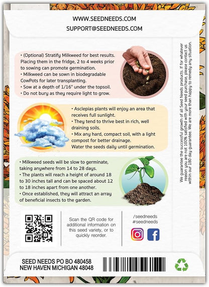 Seed Needs Orange Butterfly Milkweed Seeds for Planting - Heirloom & Untreated - Grow a Butterfly Garden to Attract Monarch Butterflies & Pollinators (2 Packs)
