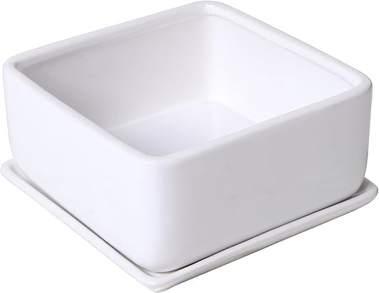 MyGift Modern White Ceramic Square Indoor Small Planter, Flower Succulent Plant Pot with Drainage Hole and Removable Drip Tray