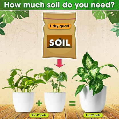 DUSPRO Recycle Pre-Mixed House Plant Soil Aroid Potting Mix 7-in-1 with Coco Coir, Peat Moss, Perlite, Worm Casting, Pumice, Pine Bark & Gypsum, Tropical Potting Mix for Indoor Plants, Herbs 2QRT