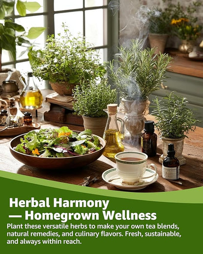 Medicinal Herb Seeds Variety Pack - 36 Heirloom Non-GMO Herbal Tea Garden Seeds: Chamomile, Lavender, Echinacea, Yarrow, Mugwort for Planting Indoor & Outdoor, Apothecary & Homesteading Supplies