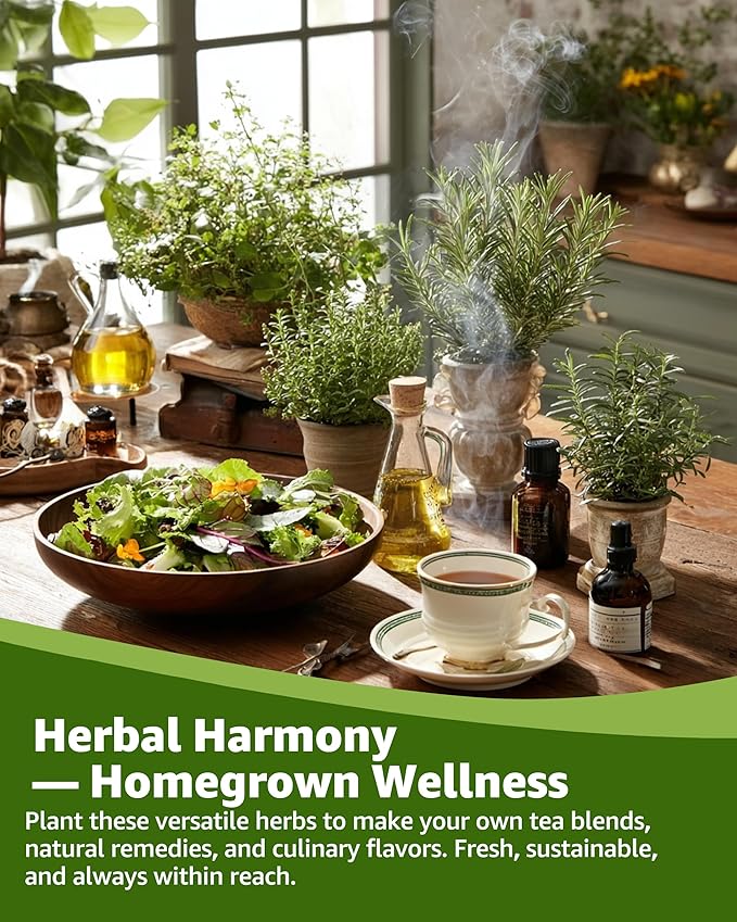 Medicinal & Tea Herb Seeds for Planting - 35 Non-GMO Heirloom Variety Pack for Indoor/Outdoor Garden: Anise, Bergamot, Borage, Fennel, Chamomile, Dandelion, Oregano, Hyssop, Catnip Seeds & More