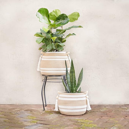 Woven Plant Baskets for Indoor Plants (Set of 2) – Boho Basket Planters for Home Décor