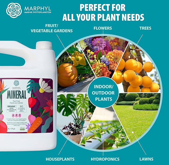 MARPHYL Organic Minerals Liquid Fertilizer – Essential Trace Mineral Blend for Healthy Plant Growth, Improves Nutrient Uptake for Garden Flowers, Vegetables, Succulents & Hydroponics