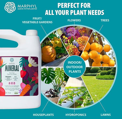 MARPHYL Organic Minerals Liquid Fertilizer – Essential Trace Mineral Blend for Healthy Plant Growth, Improves Nutrient Uptake for Garden Flowers, Vegetables, Succulents & Hydroponics
