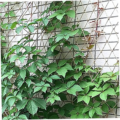 Yeory Jute Plant Support Netting Jute Garden Netting for Plants Natural Garden Trellis Twine Net for Pea Bean Climbing Vegetable 79x394 in, Garden Netting for Plants