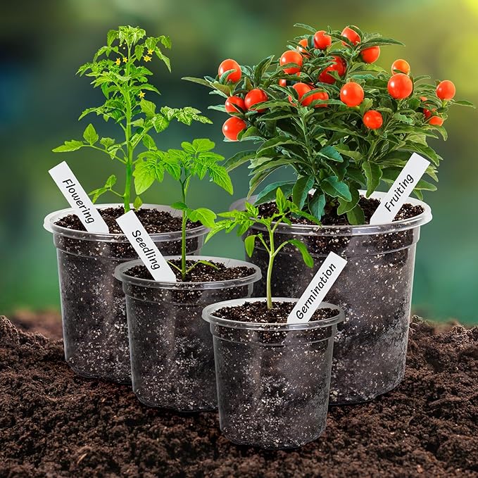Bonviee 36 Packs 7/5/4/3.5 Inch Clear Nursery Pots for Plants, Reinforced Clear Nursery Pots with Drainage Hole,Transparent Plastic Plant Pot Seedling Planter Seed Starter Flower