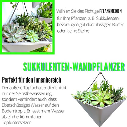 LaLaGreen Succulent Wall Planters - 2 Pack, 12 Inch Large Self Watering Wall Hanging Planters for Indoor Plants Gray Wall Mount Triangle Geometric Flower Vase Pot Black Metal Hanger Living Wall Decor