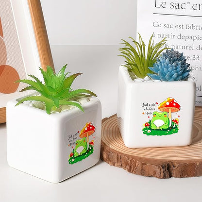 Frog Succulent Planter Flower Plant Pot Small, Gifts for Women Teens Girls Kids, Frog Lovers Themed Stuff Accessories Things Decor Merch, Home Office Table Desk Decoration!