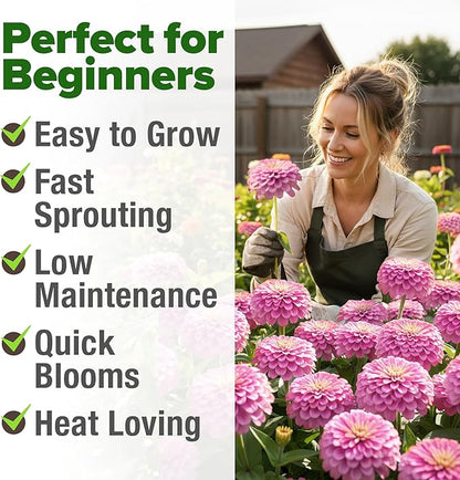 HOME GROWN Pink Zinnia Seeds – 1500 Luminosa Zinnias, Easy to Grow Annual Flower Seeds for Planting Outdoors for 2026, Fast Blooming, Heat Tolerant Herb Seed Garden Companion (Zinnia elegans)