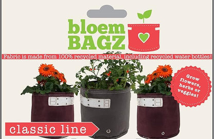 BloemBagz Classic Line Planter, 2 Gallon, Tequila Sunrise