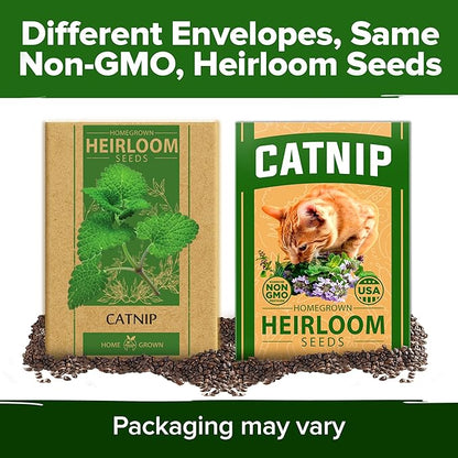 HOME GROWN Non GMO Catnip Seeds (Bulk Pack) Heirloom Herb 2,116 Seeds - Indoor or Outdoor Seed - High-Germination Cat Nip - Cat Safe Plants (Nepeta cataria)