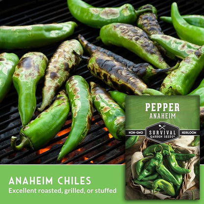 Anaheim Chili Pepper Seeds for Planting – Mild Green New Mexico Variety for Roasting and Cooking – Heirloom Non-GMO Open-Pollinated – Survival Garden Seeds (5 Pack)