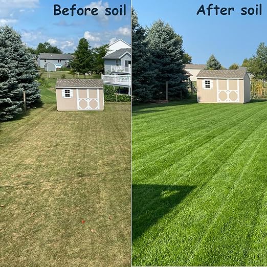 Soil Revitalizer (17.6 oz / 500g), Lawn & Garden Soil Conditioner - Plant Food Enhancer, Concentrated Humic Acid with Fulvic - Yields 266 Gallons (17.6, Ounces)