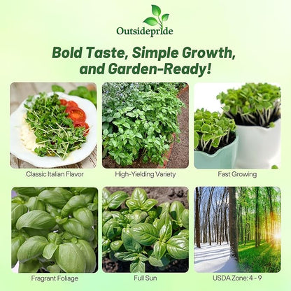 Outsidepride Genovese Sweet Basil Seeds for Planting - 1/8 lb. Easy to Grow Annual Herb Garden Seeds with Aromatic & Flavorful Foliage for Containers, Companion Planting, Indoors & Outdoors