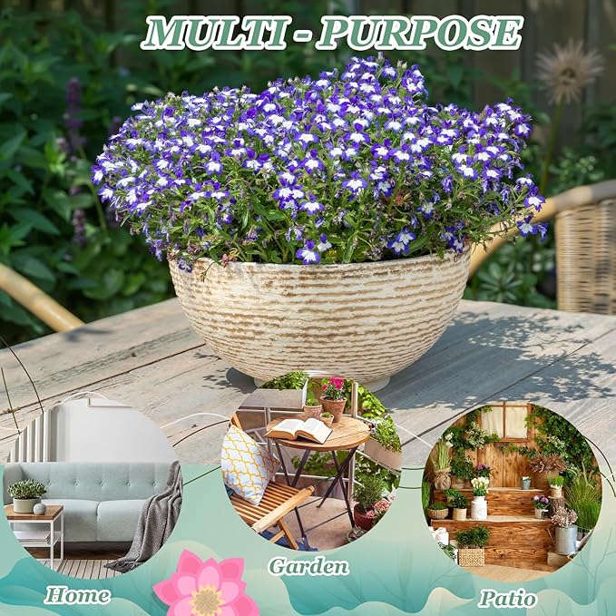 2 Pack Water Lily Planter Bowl, 15.6 Inch Large Lotus Flower Bowl Fit Hydroponic Succulent Planter Water Plant Container for Indoor Outdoor Garden Balcony Patio Fish Pond Bird Bath (White)