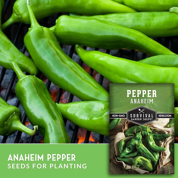 Anaheim Chili Pepper Seeds for Planting – Mild Green New Mexico Variety for Roasting and Cooking – Heirloom Non-GMO Open-Pollinated – Survival Garden Seeds (1 Pack)