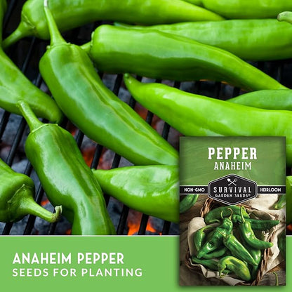 Anaheim Chili Pepper Seeds for Planting – Mild Green New Mexico Variety for Roasting and Cooking – Heirloom Non-GMO Open-Pollinated – Survival Garden Seeds (1 Pack)