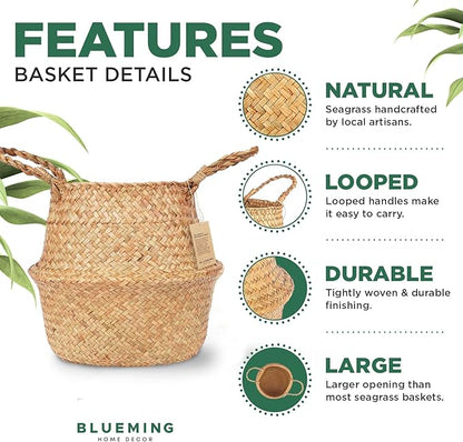 Olive Tree Basket – Wicker Seagrass Planter for Tall Indoor Faux Plants, Decorative Rattan Basket Cover for Houseplants, Snake Plant, Monstera, 7-8 Inch Pots (Original, Medium)