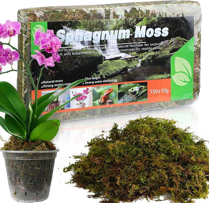Dried Forest Moss for Plants (15 qt / 3 pcs), Sphagnum Potting Moss for Various Plants, Including Orchids, Carnivorous Plants, Succulents, Garden Flowers, and Reptiles