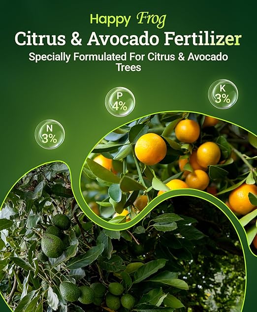 FoxFarm Happy Frog Citrus and Avocado Fertilizer- OMRI Listed Organic Citrus Fertilizer for Healthy Growth, Slow-Release Nitrogen, Calcium & Sulfur for Citrus & Avocado Trees - 4 lb, Pack of 2