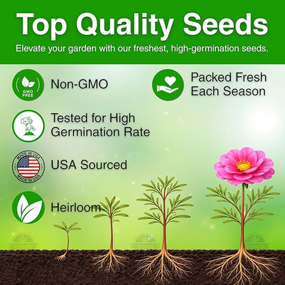 24500+ Moss Rose Seeds, Pack for 2026 USA Premium Non-GMO Flower Seeds Annual Flower for Ground Cover - Heat & Drought Tolerant Moss-Rose Purslane, Eleven O'clock