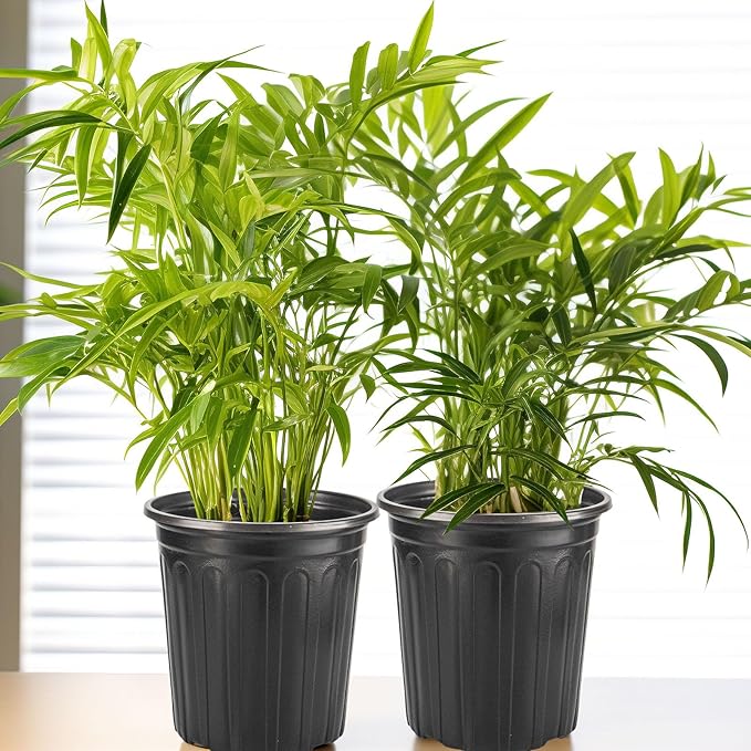 30Pack Small 2 Gallon Flexible Plant Nursery Pots, 8 inch Soft Plastic Seedling Pots, Seed Starting Pot Flower Plant Container for Succulents, Cuttings, Transplanting Seedlings - Black
