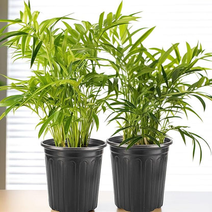 30Pack Small 2 Gallon Flexible Plant Nursery Pots, 8 inch Soft Plastic Seedling Pots, Seed Starting Pot Flower Plant Container for Succulents, Cuttings, Transplanting Seedlings - Black