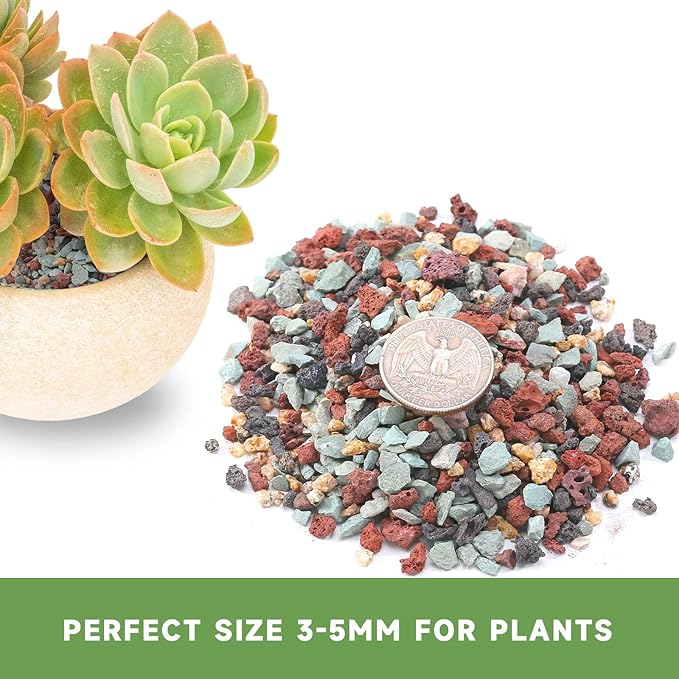 2.5lb Premium Horticultural Gritty Mix Lava Rock Pebbles Maifanitum Potting Soil Amendment -Perfect for Succulents, Cactus, Bonsai, Terrariums, and Fairy Gardening