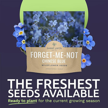 Chinese Forget Me Not Wildflower Seeds - Bulk 1 Ounce Packet - Over 5,500 Open Pollinated Seeds - Blue Cynoglossum amabile