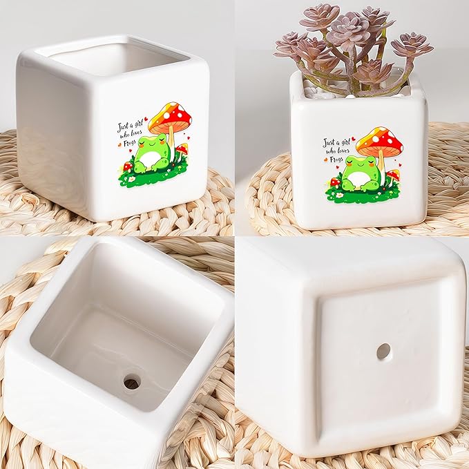 Frog Succulent Planter Flower Plant Pot Small, Gifts for Women Teens Girls Kids, Frog Lovers Themed Stuff Accessories Things Decor Merch, Home Office Table Desk Decoration!