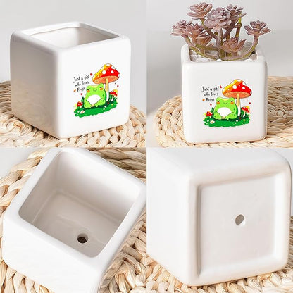 Frog Succulent Planter Flower Plant Pot Small, Gifts for Women Teens Girls Kids, Frog Lovers Themed Stuff Accessories Things Decor Merch, Home Office Table Desk Decoration!