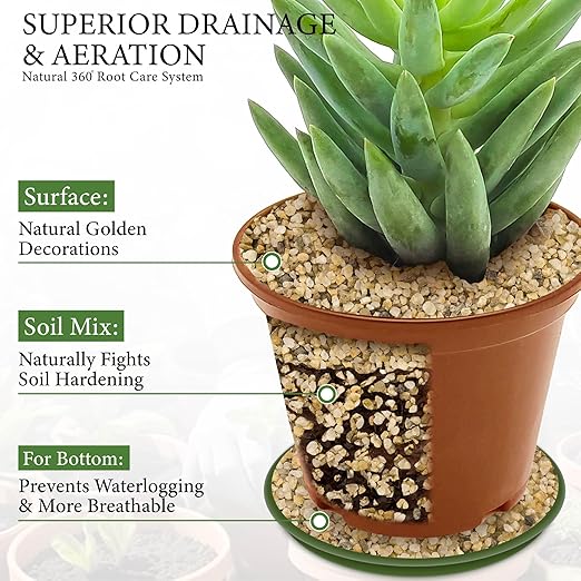 8LB Horticultural Sand for Succulents and Cactus Soil, 3-5mm Natural Coarse Sand for Plants, Multi-Purpose Silica Horticultural Grit for Aquarium, Vase Filler, Fire Pit & Garden Decor