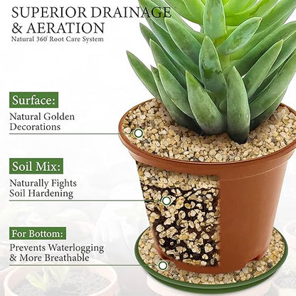 8LB Horticultural Sand for Succulents and Cactus Soil, 3-5mm Natural Coarse Sand for Plants, Multi-Purpose Silica Horticultural Grit for Aquarium, Vase Filler, Fire Pit & Garden Decor