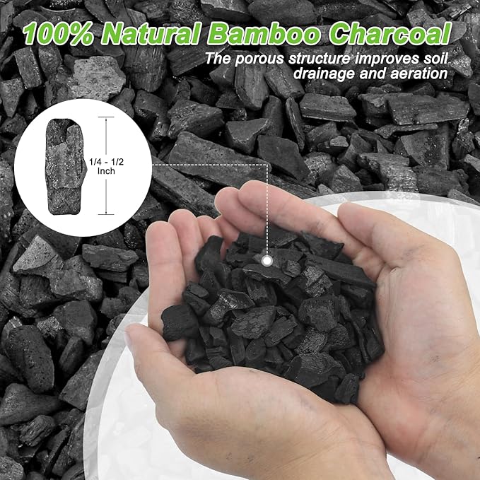 3 Quarts Horticultural Charcoal for Plants-Plant Charcoal Soil Amendment for Potting Indoor Plants, Succulent, Paphiopedilum, Bonsai, Terrarium,and Gardening