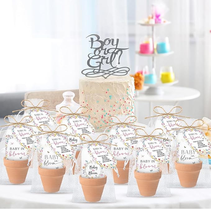 Baby Shower Party Favors Baby in Bloom Envelopes Seed Packets Include 24 Mini Terracotta Pots Seed Packets 24 Self Adhesive Envelopes Thank You Tags Gifts for Party(Wildflower)