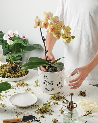 Orchid Pot, 6.5 inch Large Orchid Pots with Holes for Healthy Growth and Easy Repotting, Premium Ceramic Orchid Planter for Indoor and Outdoor Use, (Note : Plant Not Included)